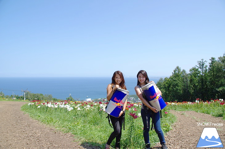 北海道最大級、213万輪のゆりの花！『オーンズ春香山ゆり園』